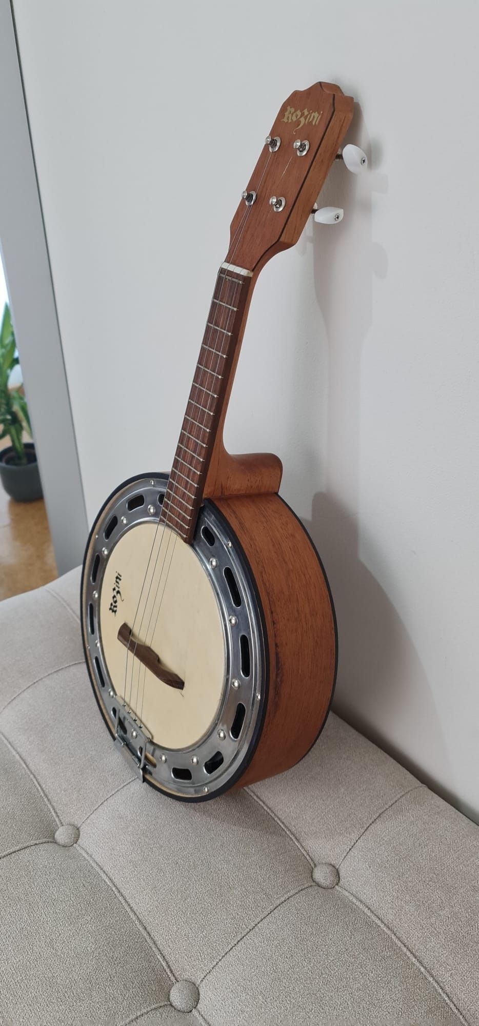 Banjo Brasileiro