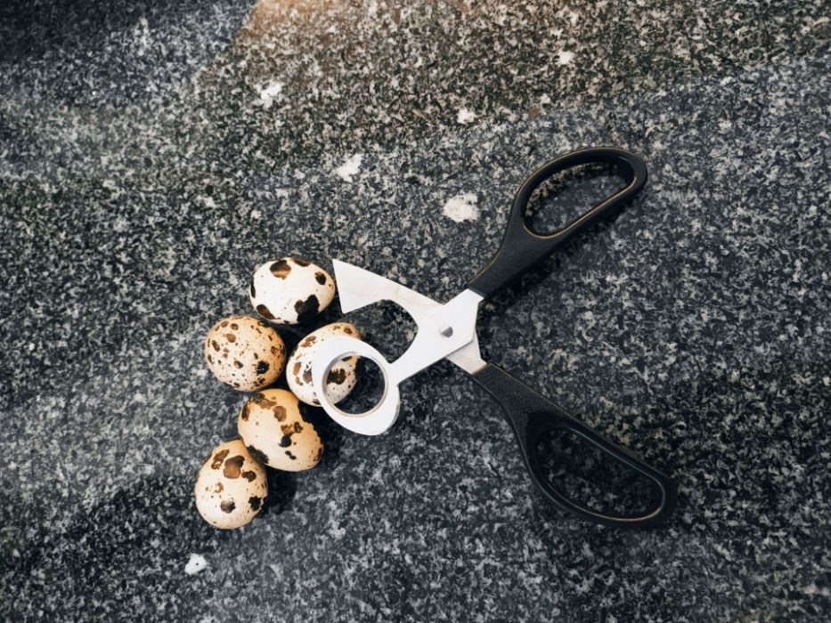 Tesouras de Ovos de Codorniz