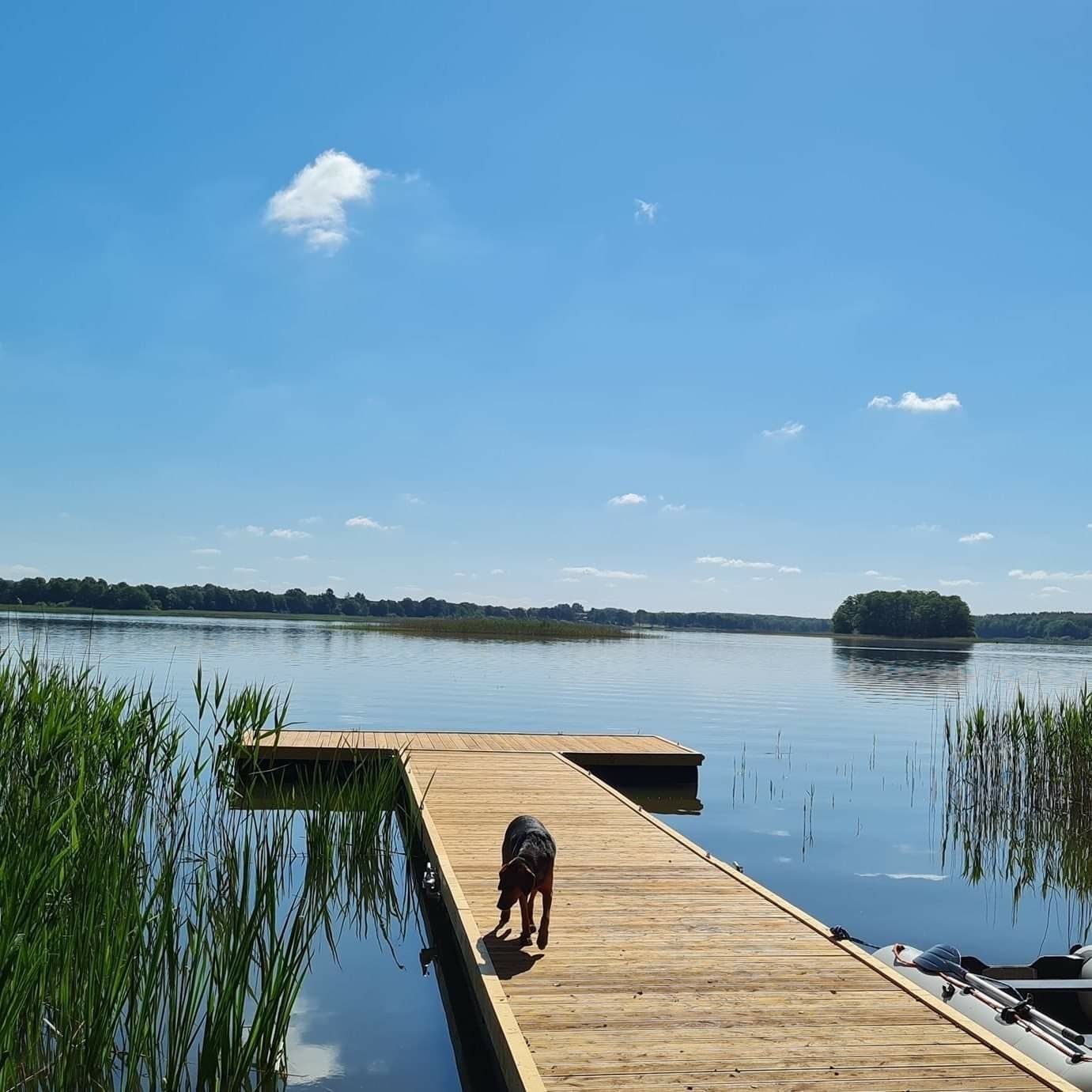 Siemiany. 5 metrow od wody. Dom z  pomostem i linia brzegową Jezioraka