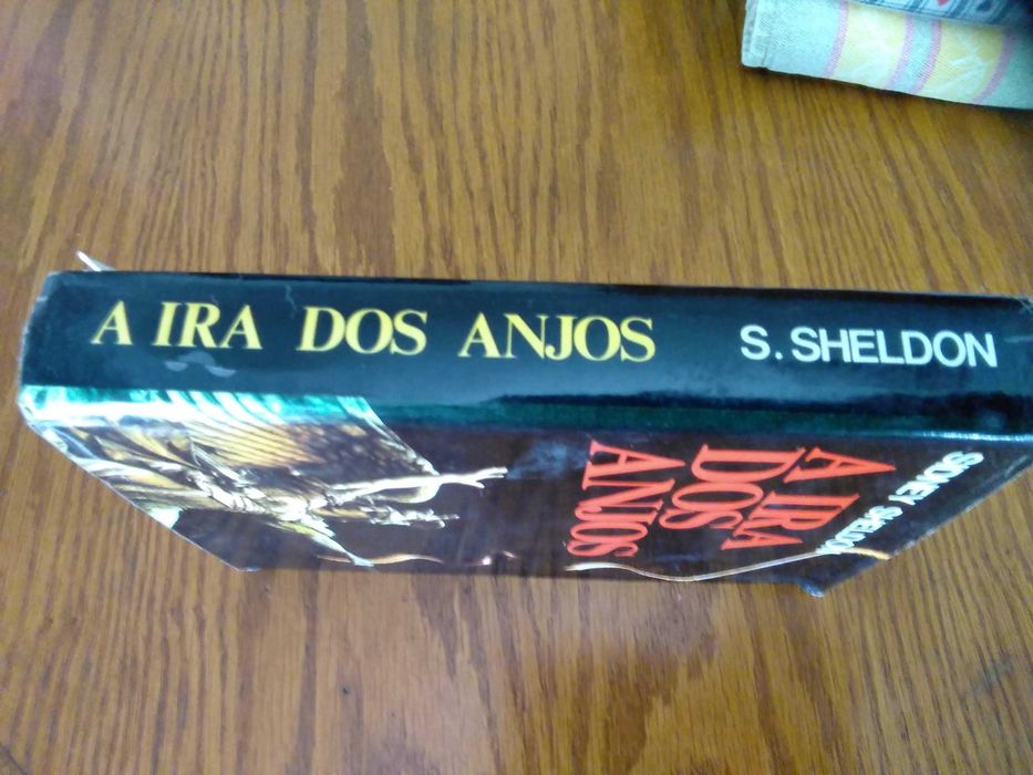 Livro - A ira dos anjos