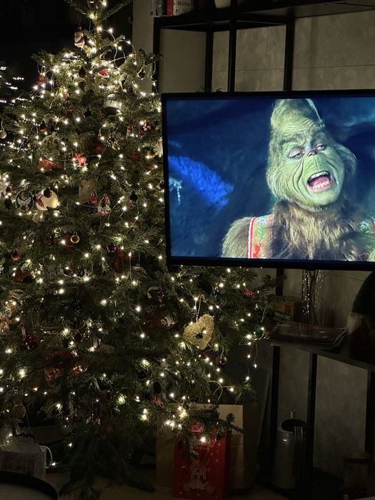 телевізор LG 43LM63