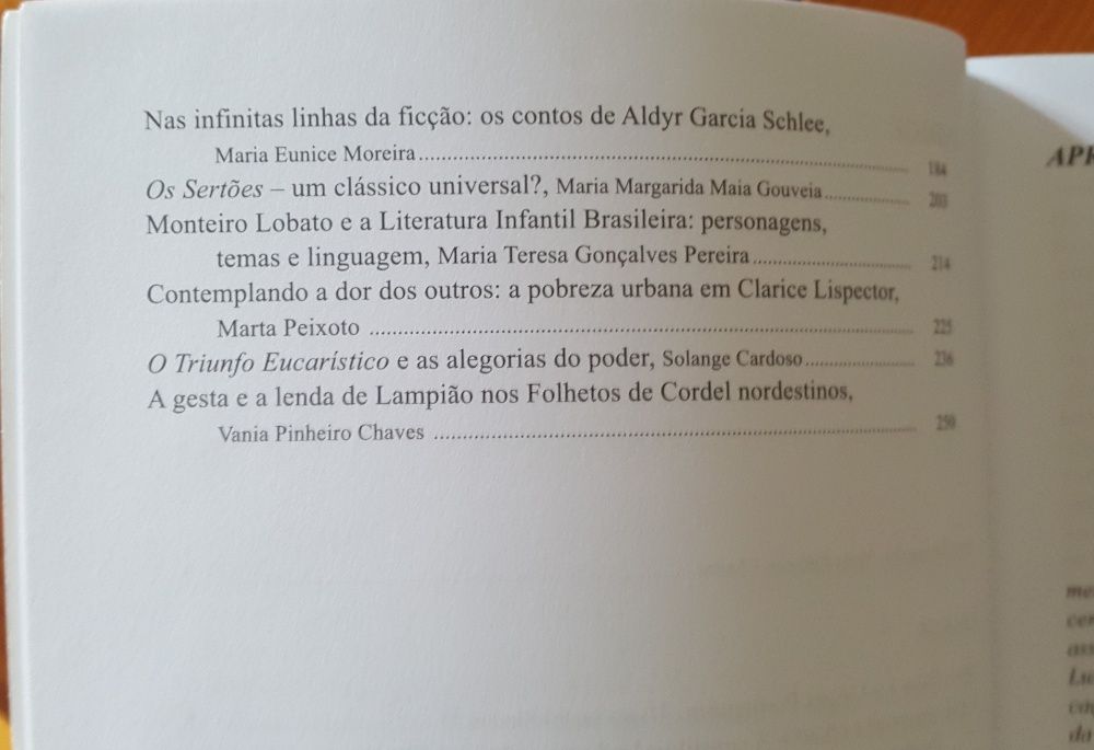 Vania Pinheiro Chaves (org.) - Literatura Brasileira sem fronteiras