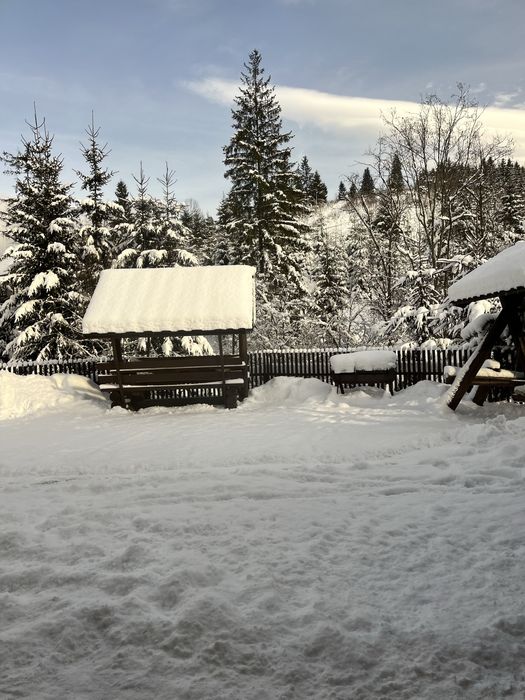 Відпочинок у Карпатах, Буковель котедж М&Д