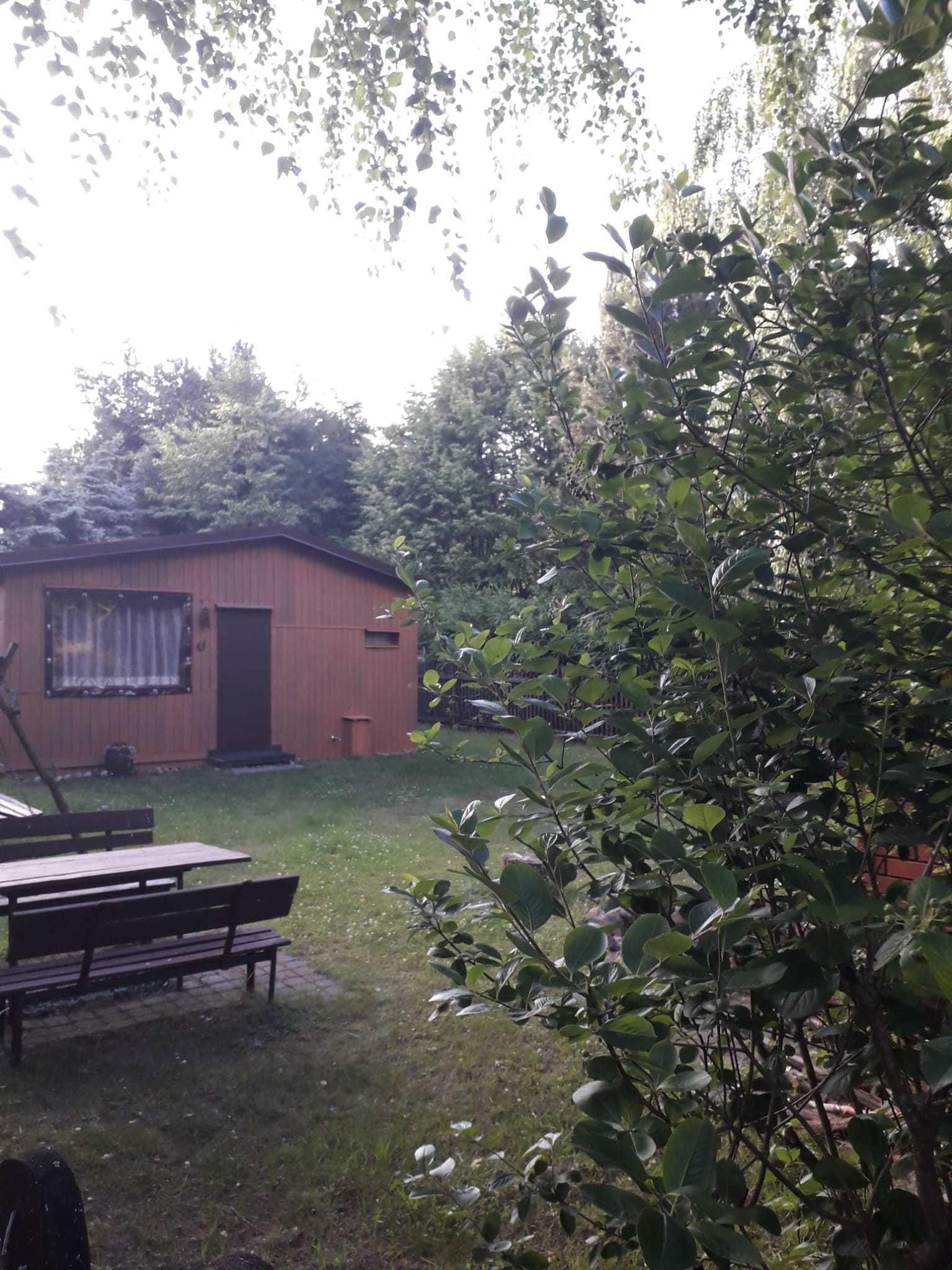 Domek letniskowy do wynajęcia na Mazurach Marksewo Szczytno / nocleg
