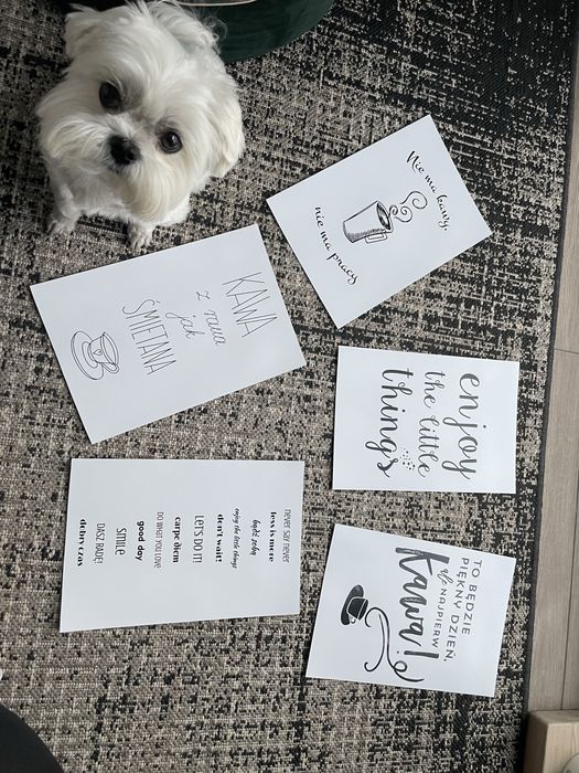 Zestaw plakatów A4 - kawa