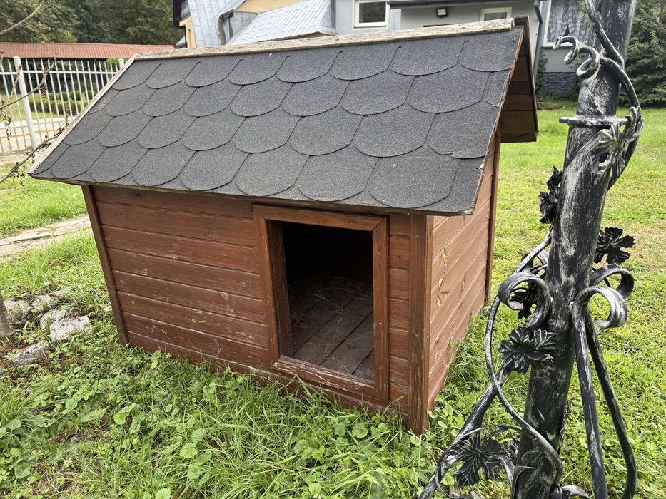 Buda dla psa dużego