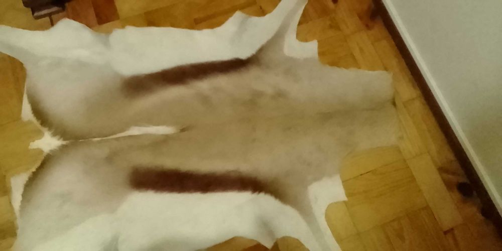 Tapete de pele antílope