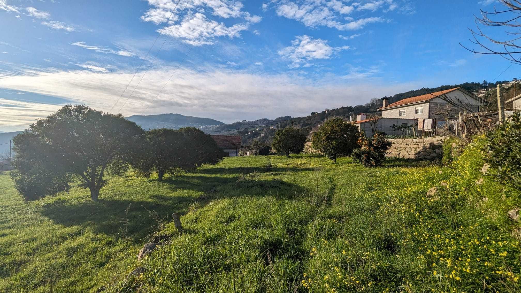 Terreno em São Lourenço do Douro para construção e vista rio.