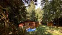 Dom LAS 2-wynajem,prywatne jacuzzi,las, wakacje w naturze