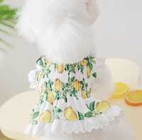 Плаття для собак із принтом лимон М