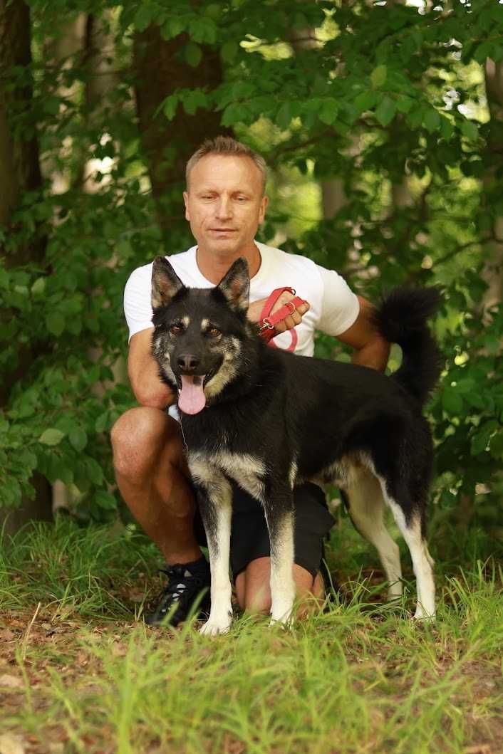 ANAKIN - 3-letni, łagodny,lubi KOTY.  [FILMIKI]