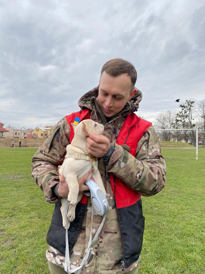 КІНОЛОГ Львів, дресирування, заняття з охорони, онлайн консультації