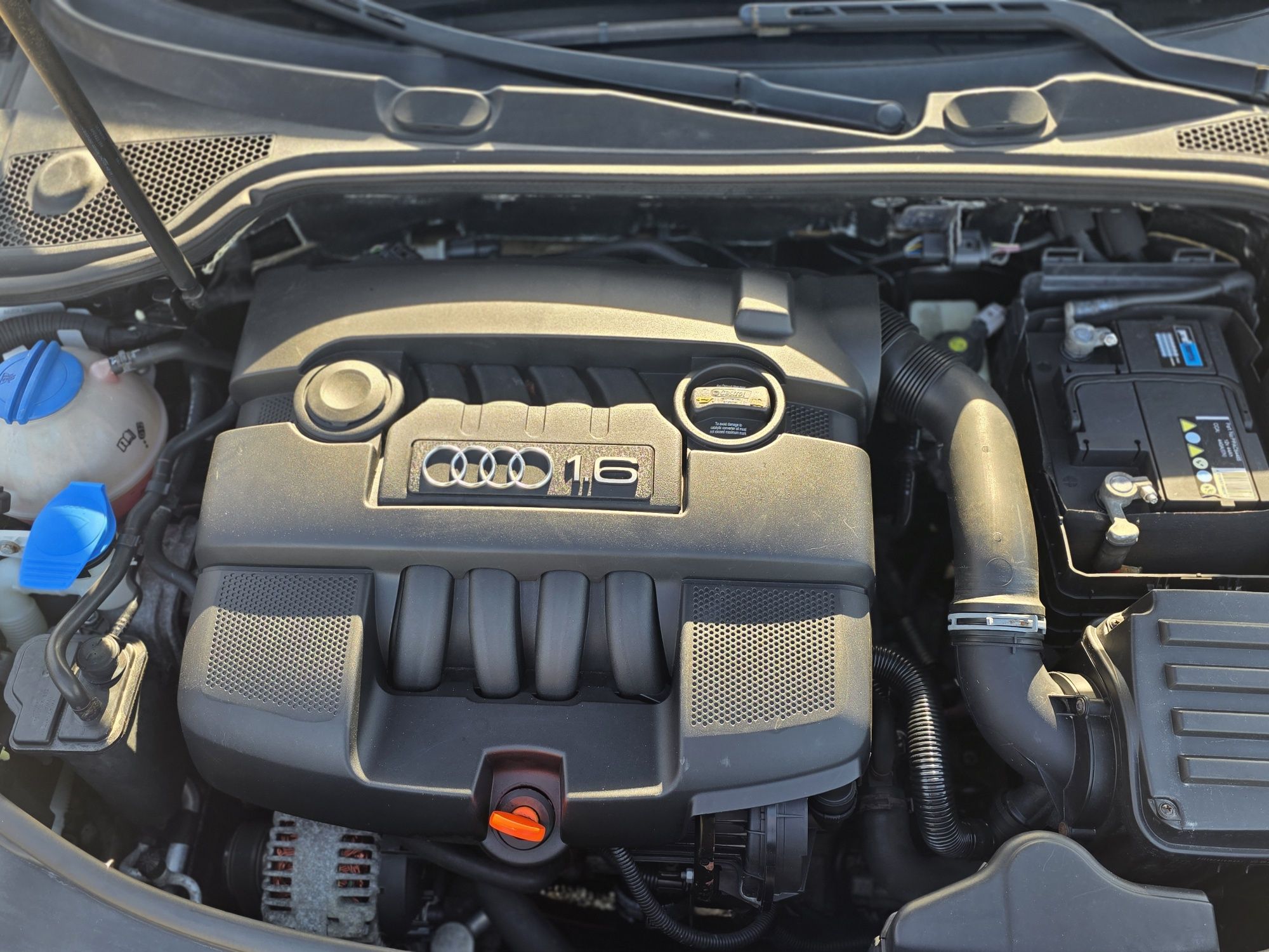 Audi A3 1.6 MPI benzyna