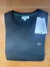 Sweat Lacoste Verde