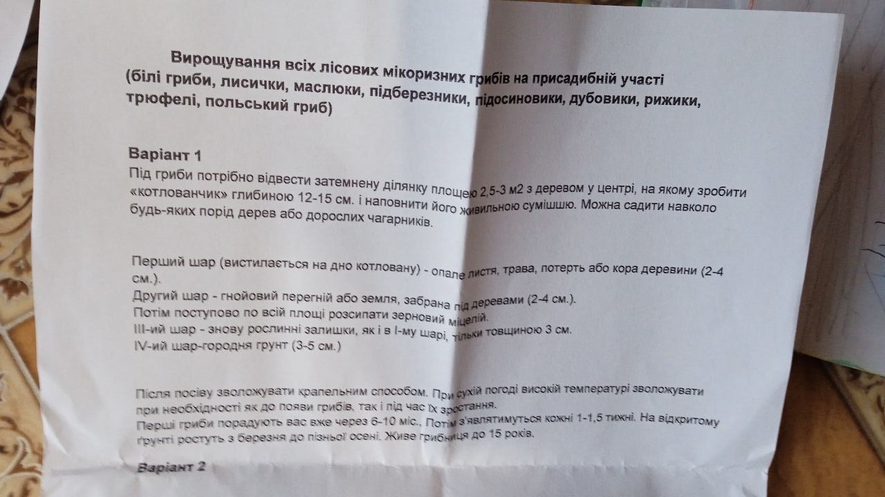 Міцелій Підберезника звичайного (живий 100гр)