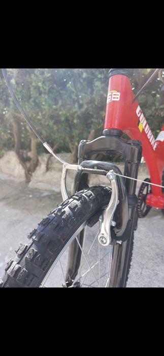 Bicicleta de criança roda 20(Nova)