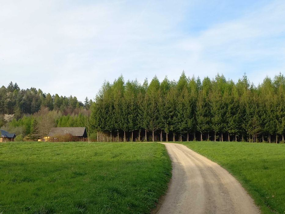 Krosno/Noclegi/Pokoje pracownicze/Dom wynajem do 9osób