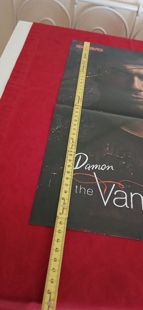 Poster Damon The Vampire