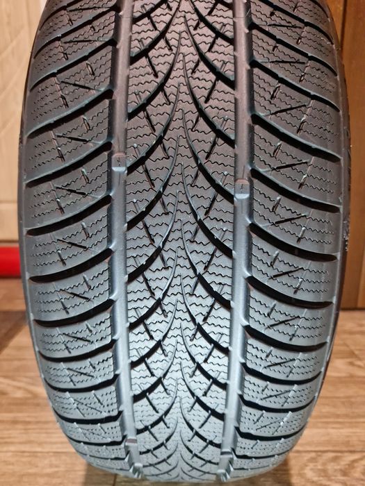 205/55 R17 Triangle WinterX TW401