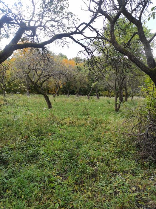 Продам будинок с. Білашів (Здолбунівський р-н)