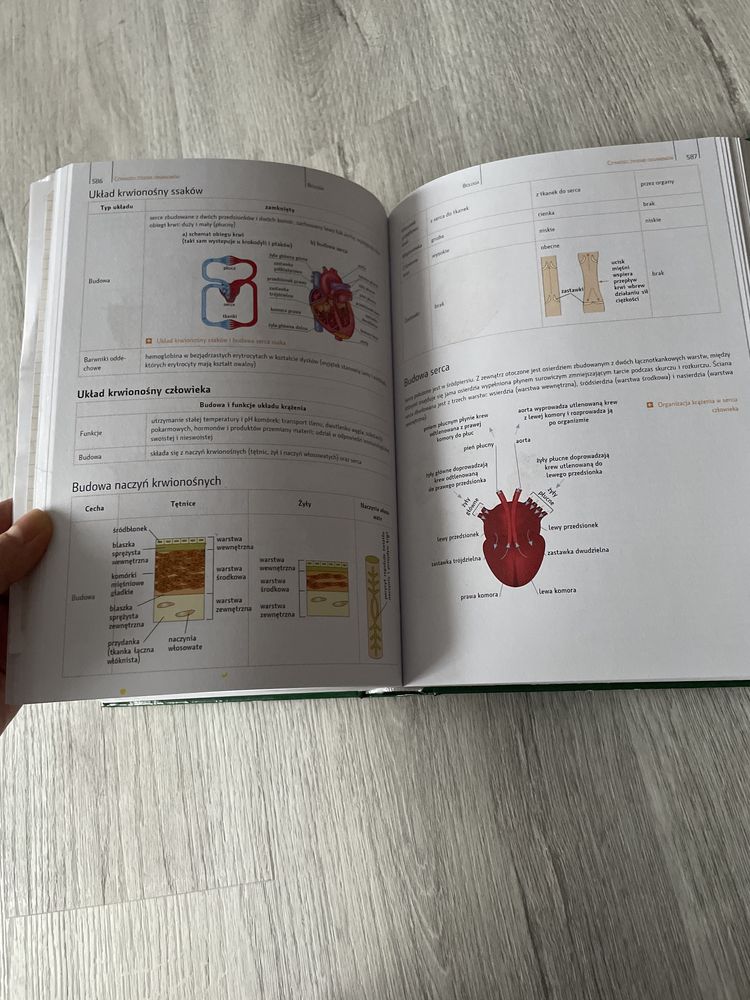 Kimprndium licealisty biologia i geografia