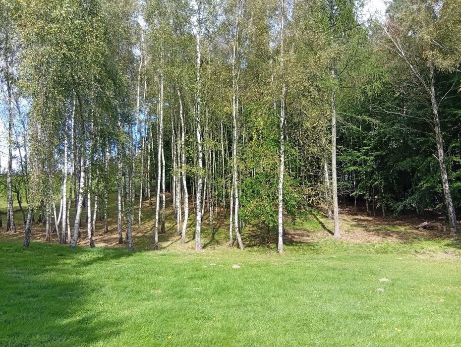 Na sprzedaż działka 2000 m² – Piekło Górne, gm. Przywidz