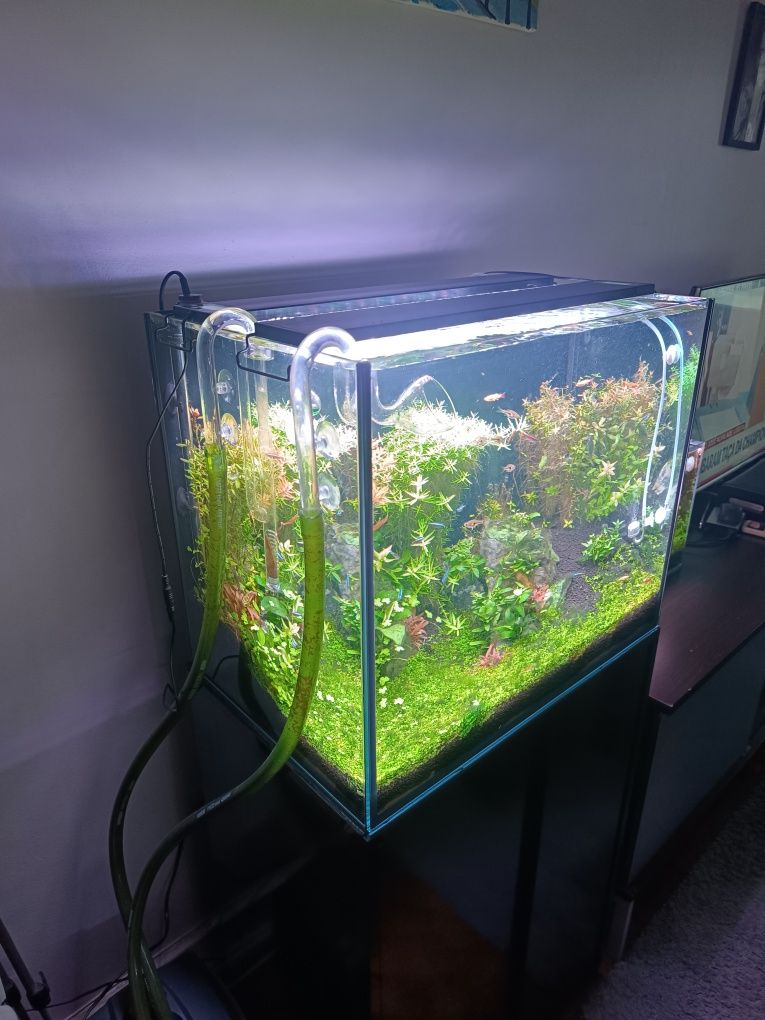 Aquário 160 litros como novo sem um único risco tem um ano, completo.