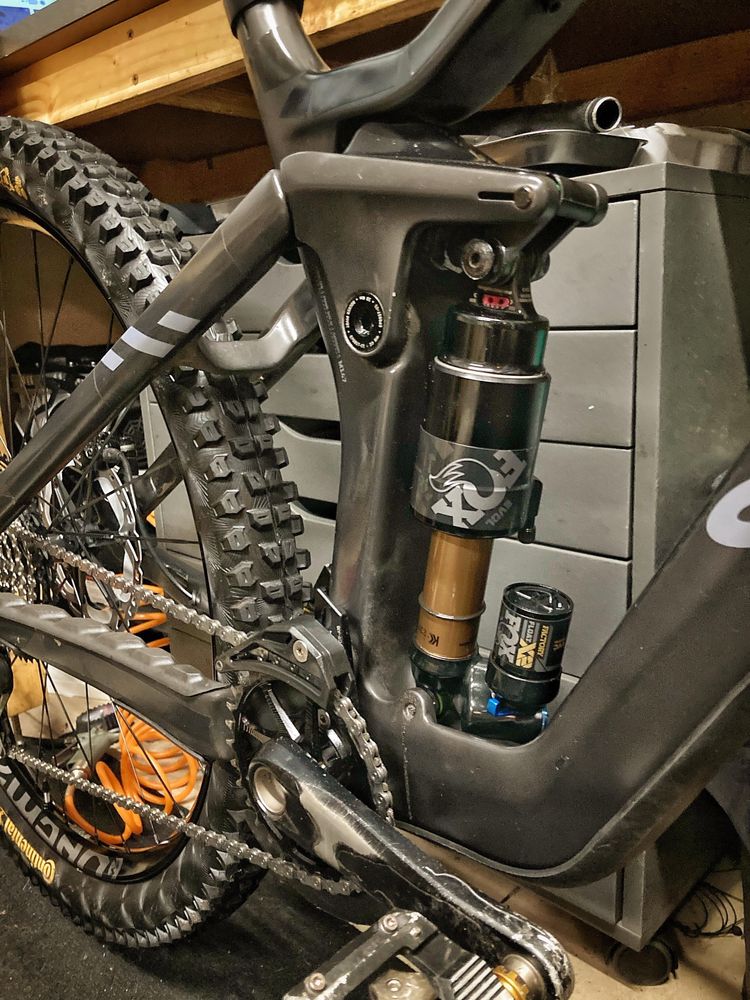 Canyon strive 2024
