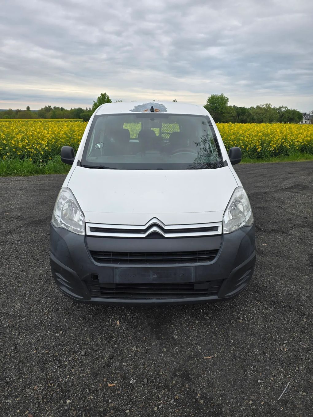 Citroën Berlingo  Citroen Berlingo 1,6 HDI