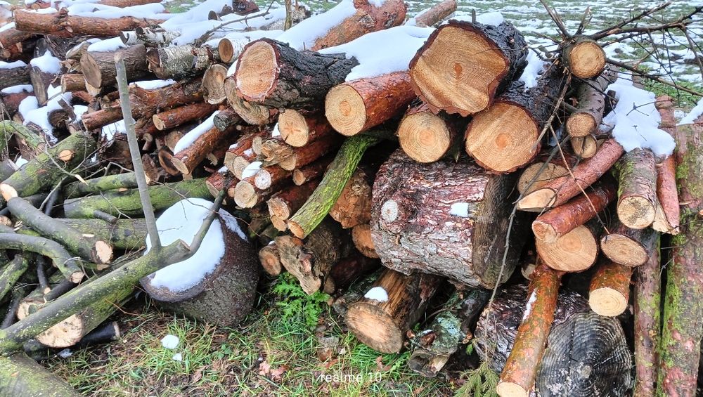 Drewno kominkowe i opałowe