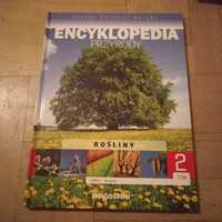 Encyklopedia przyrody. Rośliny lasy drzewa.