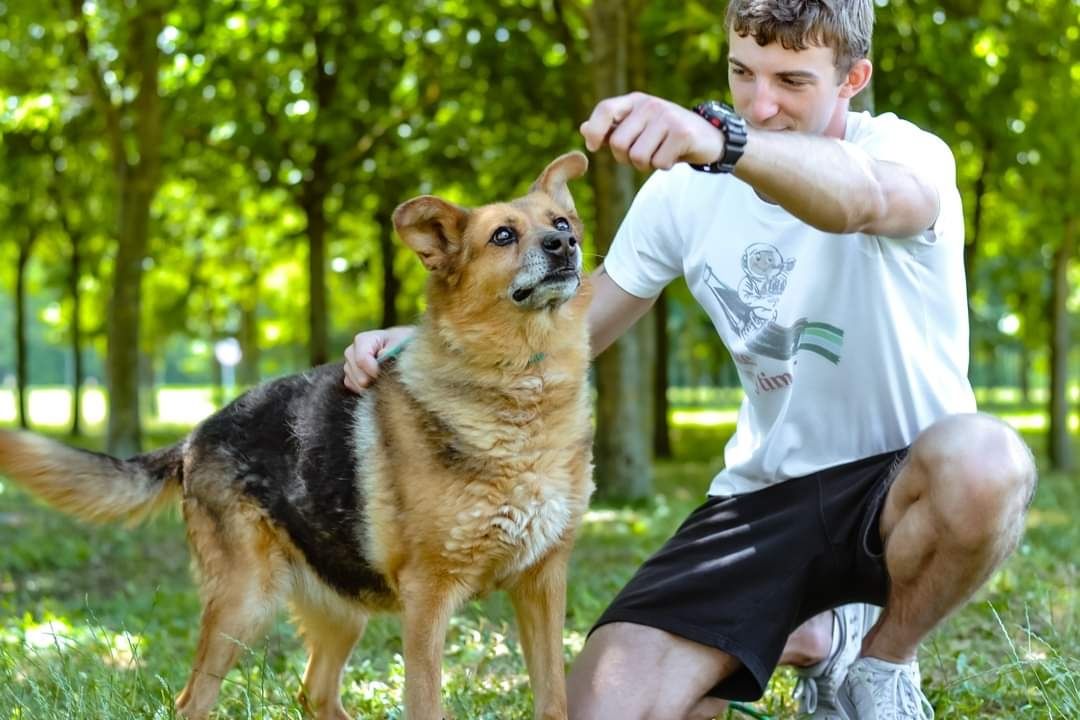 Przekochana sunia w typie owczarka niemieckiego szuka Domu!