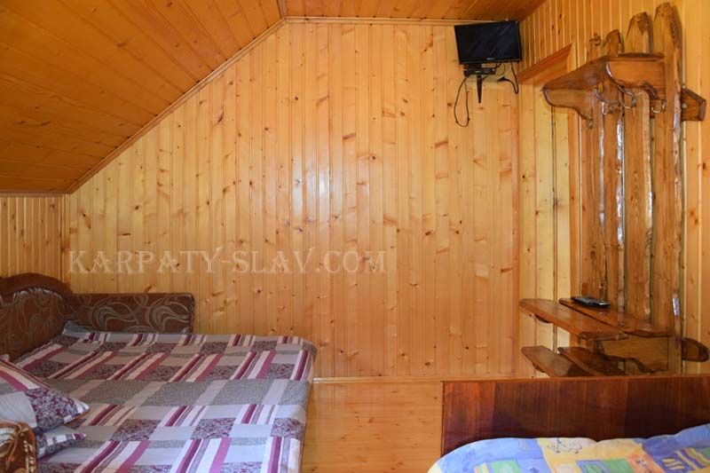 Житло в Карпатах. Басейн, чан. Славське