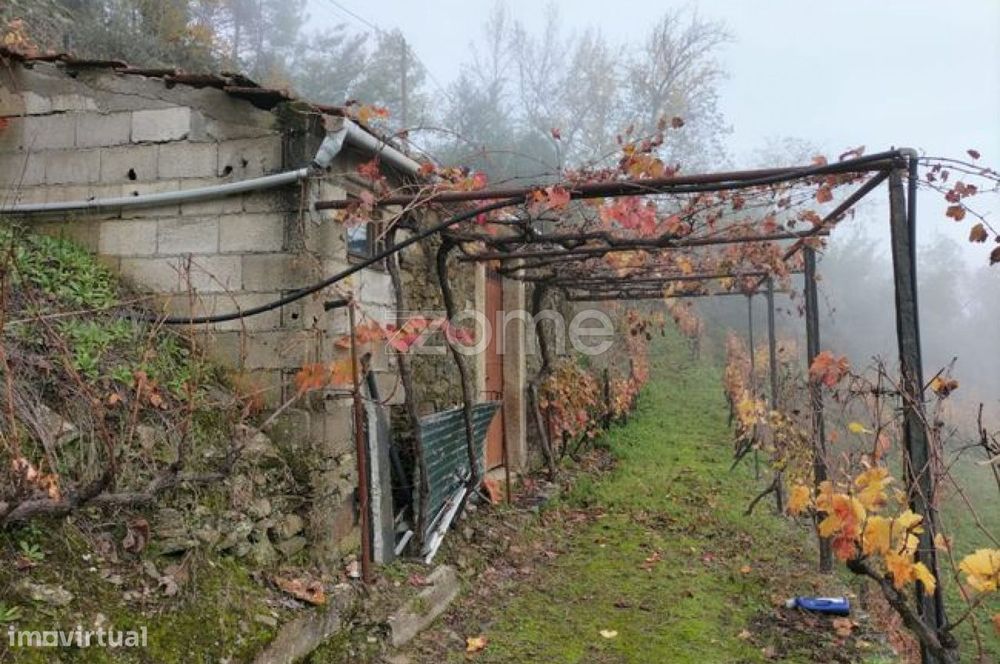 Terreno de vinha com anexo para remodelar em Medrões