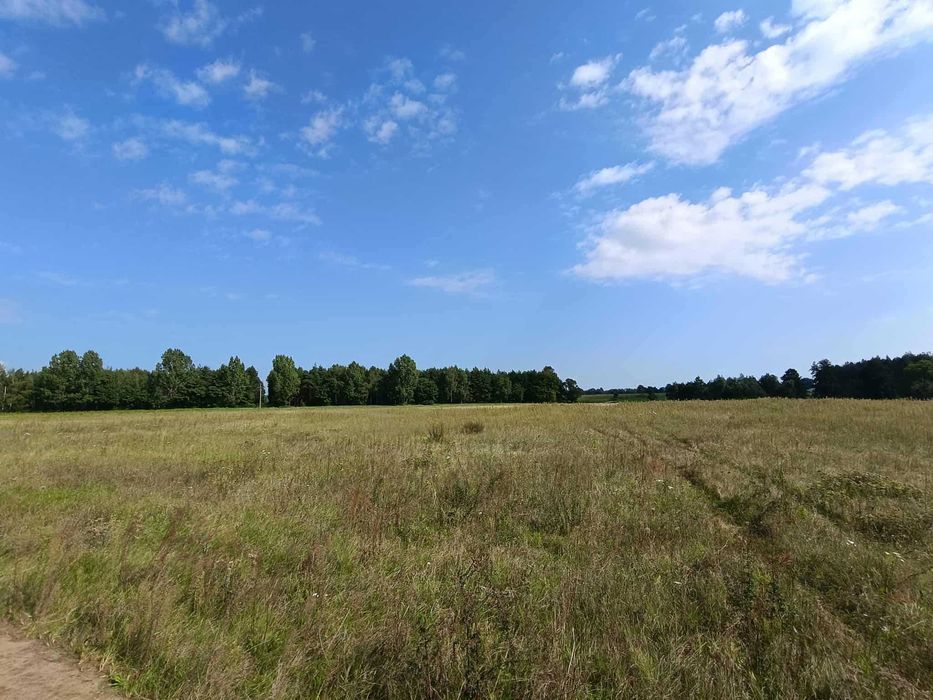 Działki budowlane - 15 minut od Gniezna!