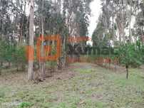 Terreno junto a Auto-estrada