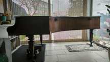 Piano de Cauda Secular