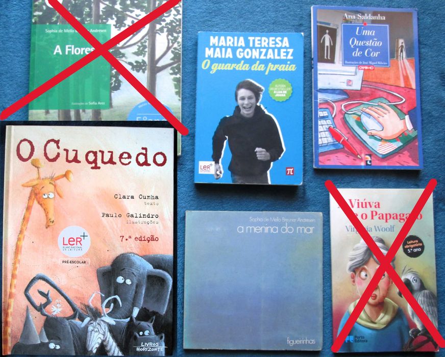 Metas curriculares; Plano Nacional de Leitura