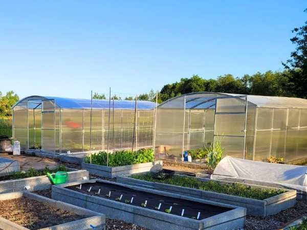 Szklarnia Proste ściany Poliwęglan 6mm 3x4 3x6 3x8 3x10 profil 40x20