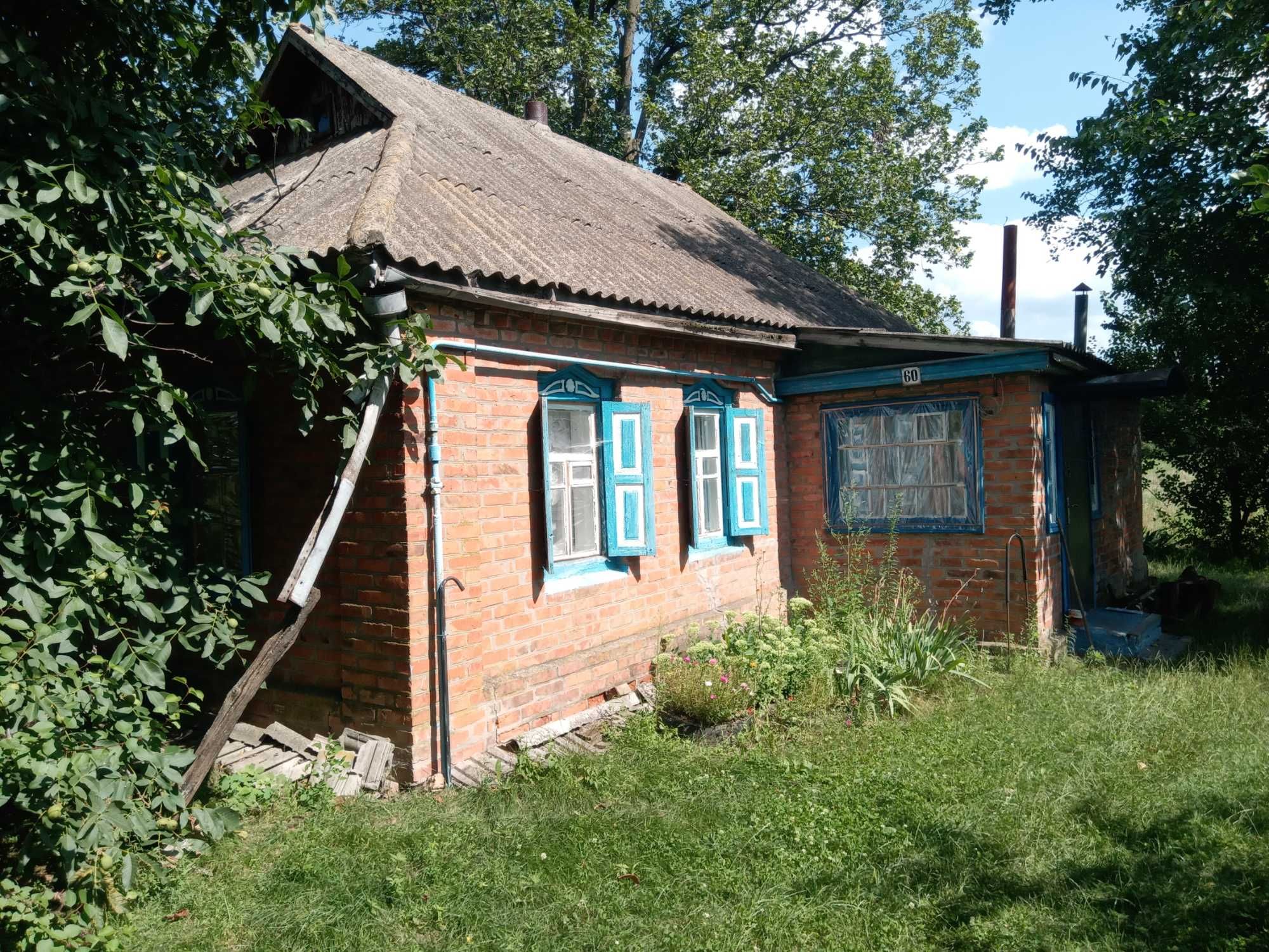 Будинок у с.Сенча Сенчанська громада Миргородський район