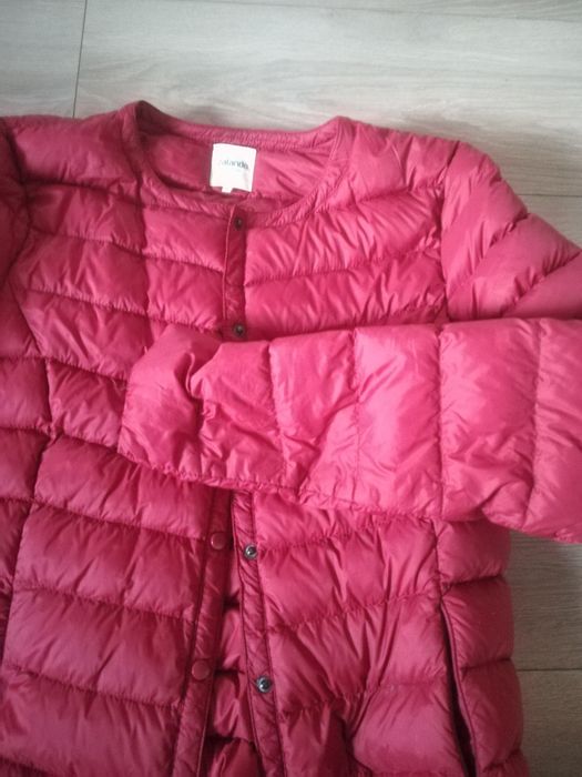 Kurteczka damska zalando s