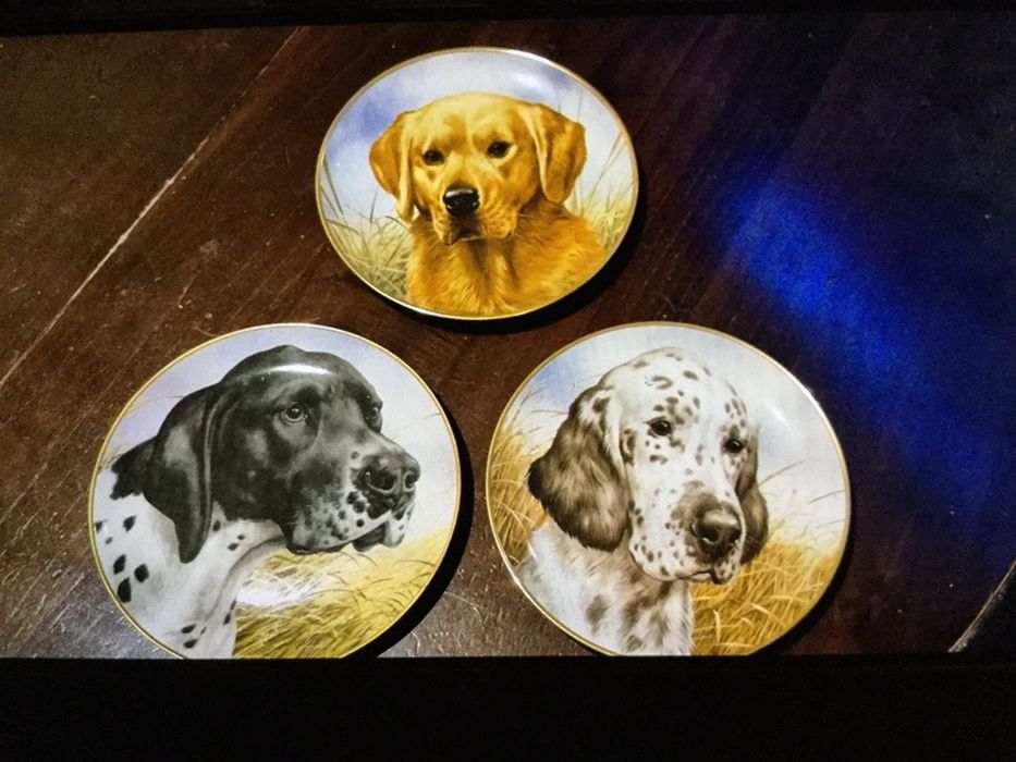 Conjunto de 3  pratos decorativos