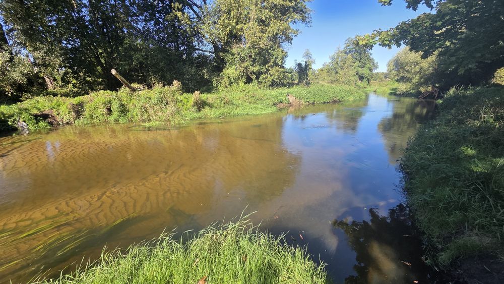 Działka nad rzeką Rawka przy lesie
