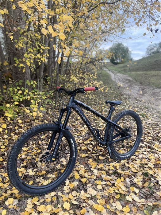 Dartmoor Hornet 2020 rama L