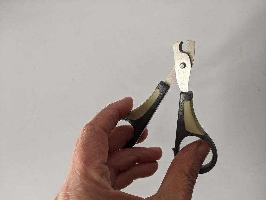 Поводок і ножиці для котиків