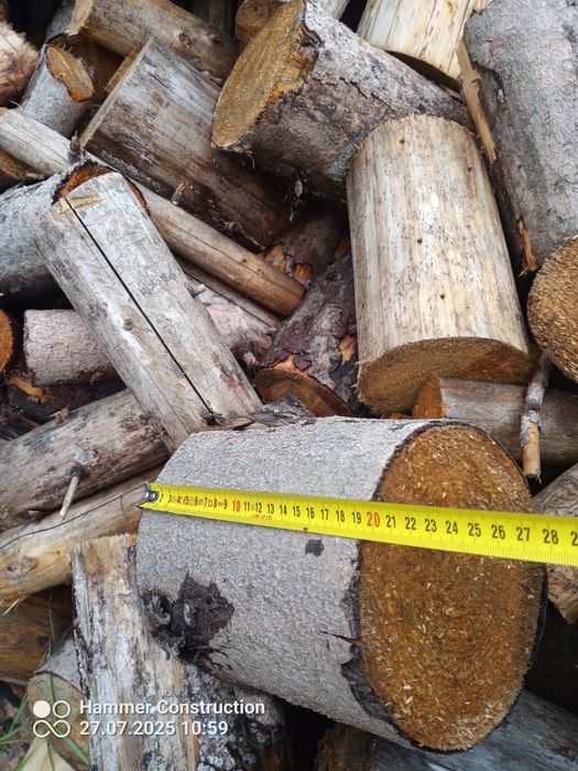 Drzewo -opal - drewno