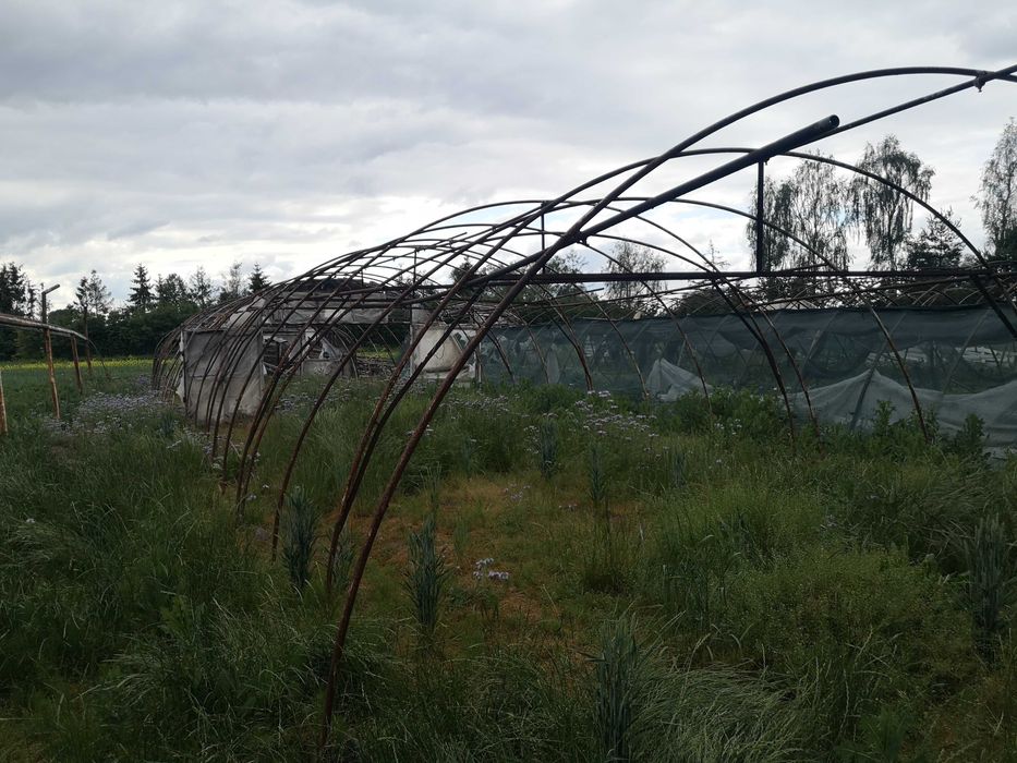 Tunel foliowy ocynk 30x6