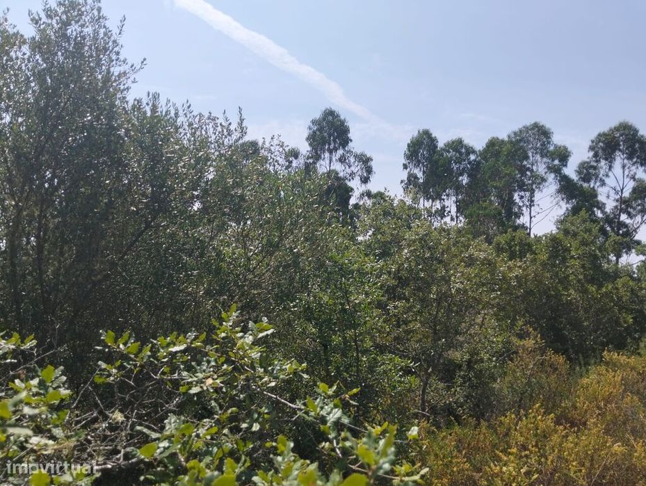 Terreno em Chãos de 1760,00 m2