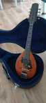Mandolina kieszonkowa antyk zabytkowa niemiecka instrument gitara