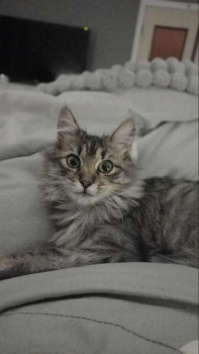 Дівчинка підліток в хороші руки